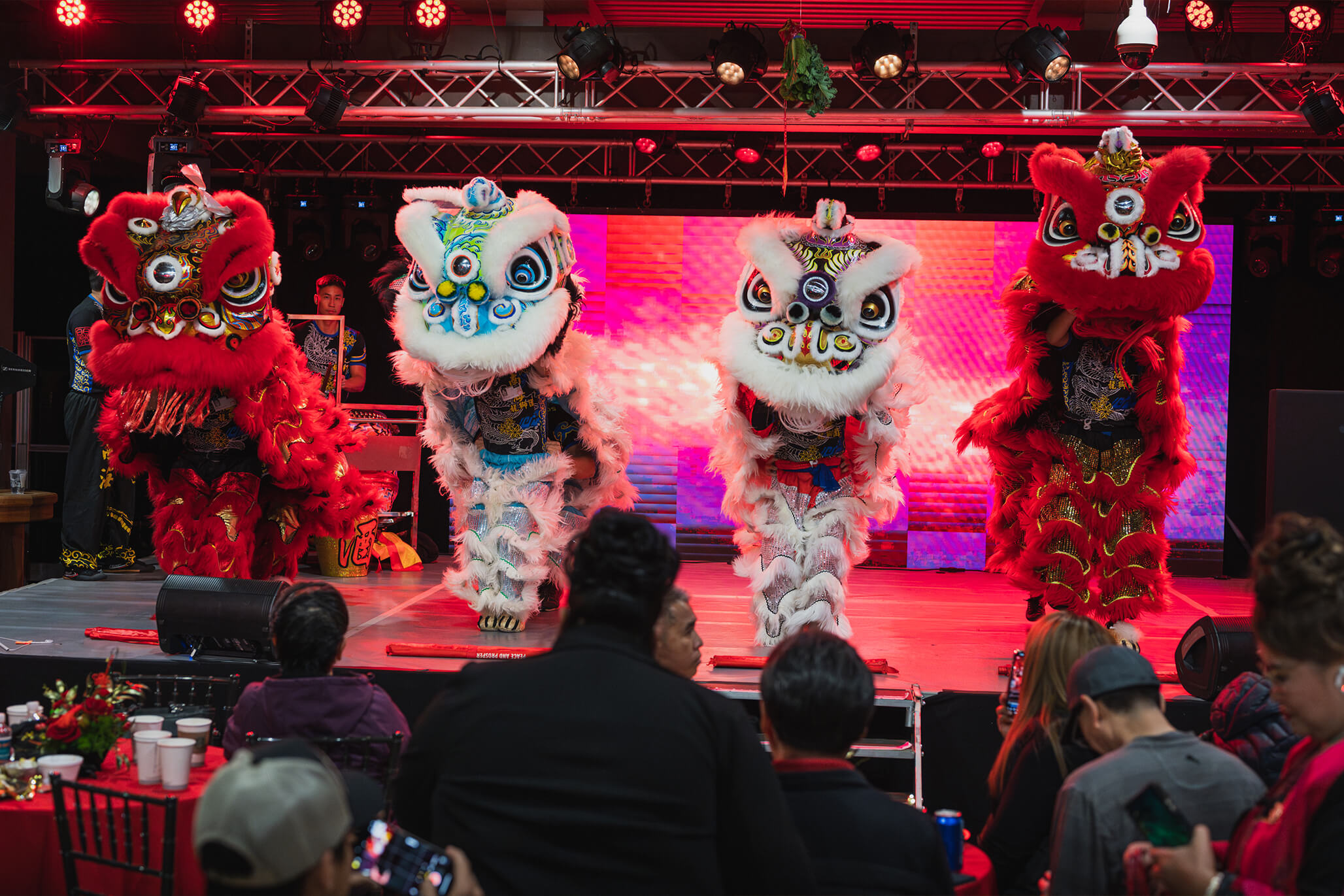 Exhilarating lion dance bringing in good fortune for the Lunar New Year at Jamul Casino.